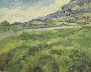 Vincent Van Gogh Green Wheat Field (nn04) Spain oil painting reproduction